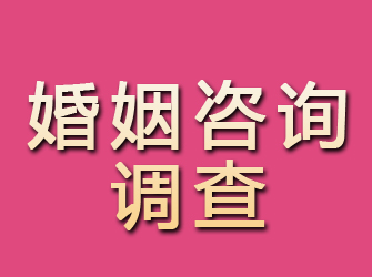 定安婚姻咨询调查