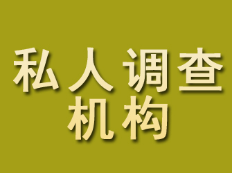 定安私人调查机构