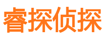 定安市私家侦探